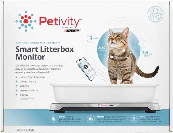 Why a Litter Box Monitor is Essential for Cat Owners